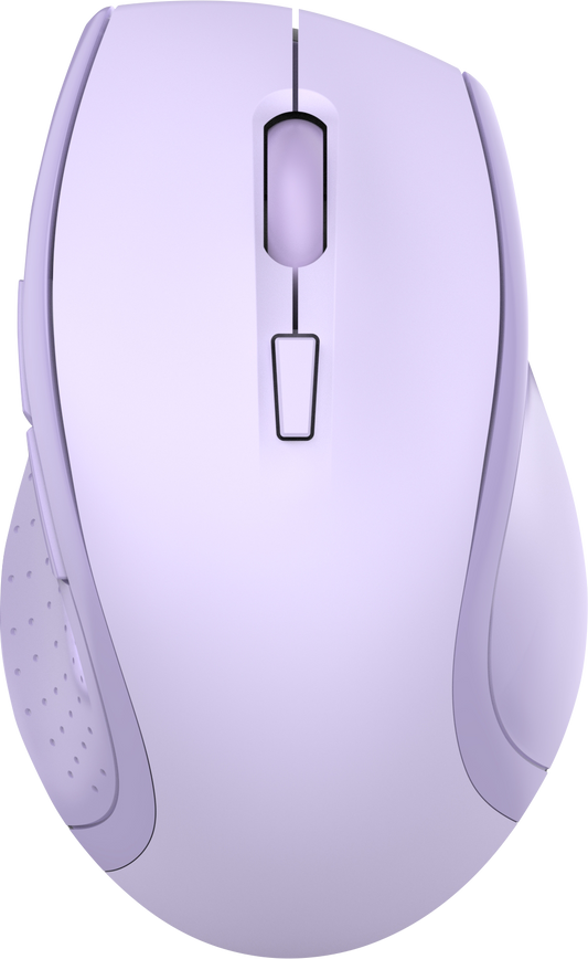 Large size ergonomic mouse